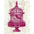 Canvas Vintage Birdcage By Brandi Fitzgerald Graphic Art Print