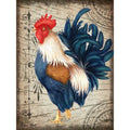 Canvas Vintage Blue Rooster Ii By Sheri Hart Graphic Art Print