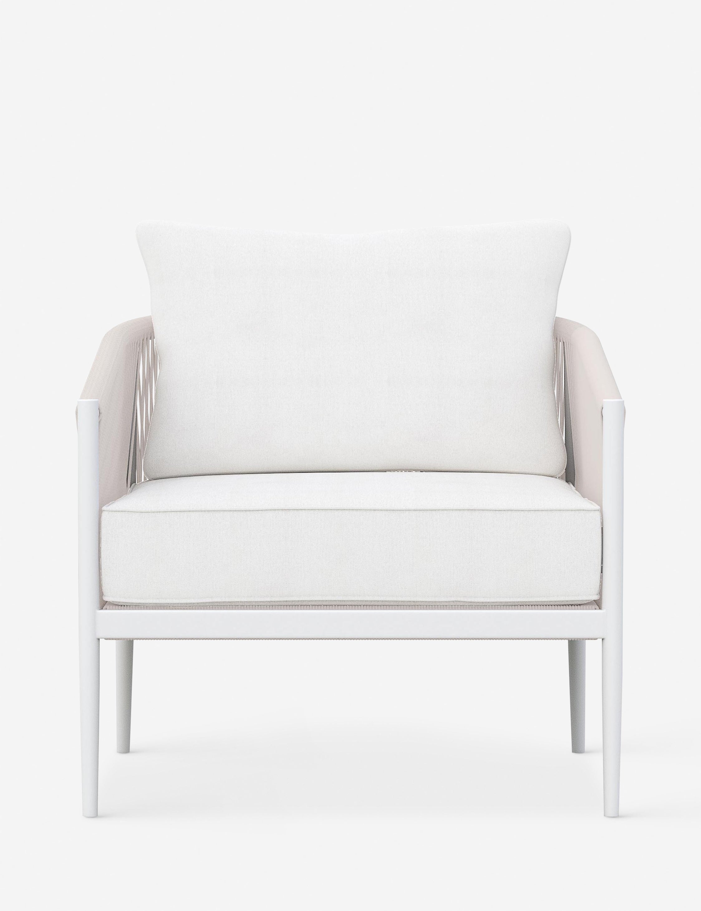 Esparza Indoor / Outdoor Accent Chair