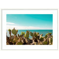 Cactuses Admiring The Ocean By Elena Chukhlebova Wood Framed Wall Art Print Lucie White