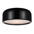2 Light Flush Mount With Black Finish