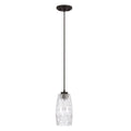 Capital 1 Light Black Iron Pendant