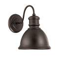 1 Light Olde Bronze Outdoor Wall Sconce