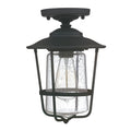 Capital Lighting Creekside Collection 1 Light Black Outdoor Ceiling Flush Mount