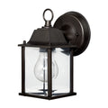 Traditional 1 Light Outdoor Wall Lantern
