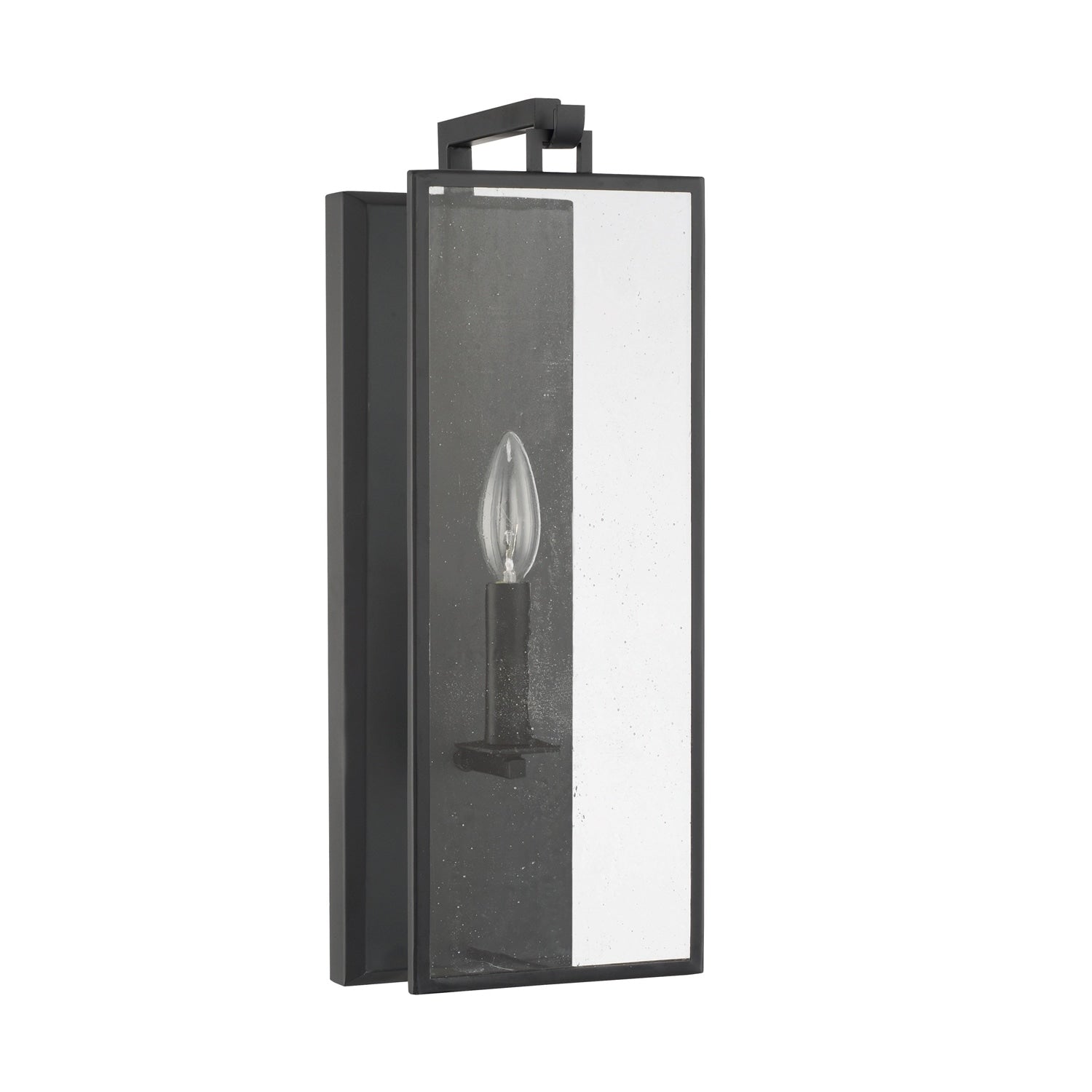 Capital Rylann 1 Light Matte Black Wall Sconce