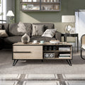 Glenn Mid Century Modern Storage Coffee Table By Foa