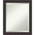 Carbon Loft Floyd Rustic Brown Wall Mirror