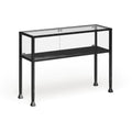 Carbon Loft Glenn Black Metal Display Terrarium Console Sofa Table