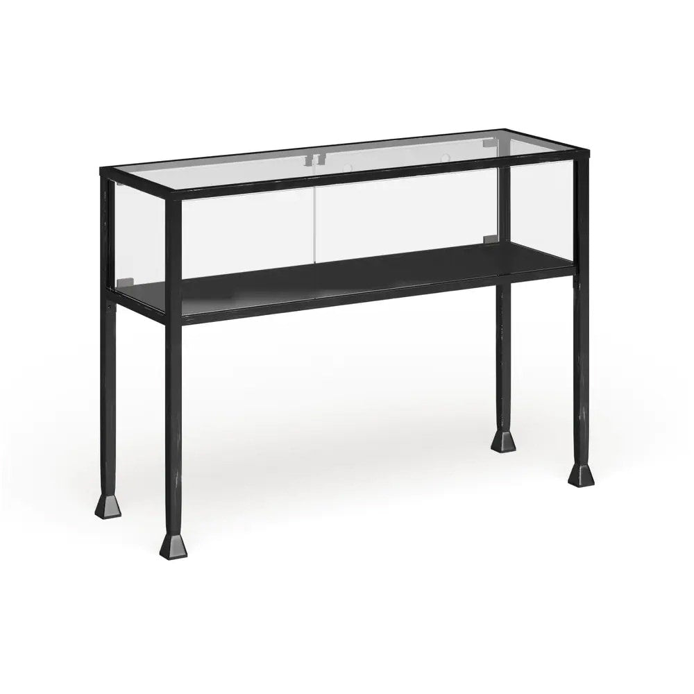 Carbon Loft Glenn Black Metal Display Terrarium Console Sofa Table