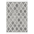 Carbon Loft Kanani Textured Distressed Morrocan Boho Rug With Fringe