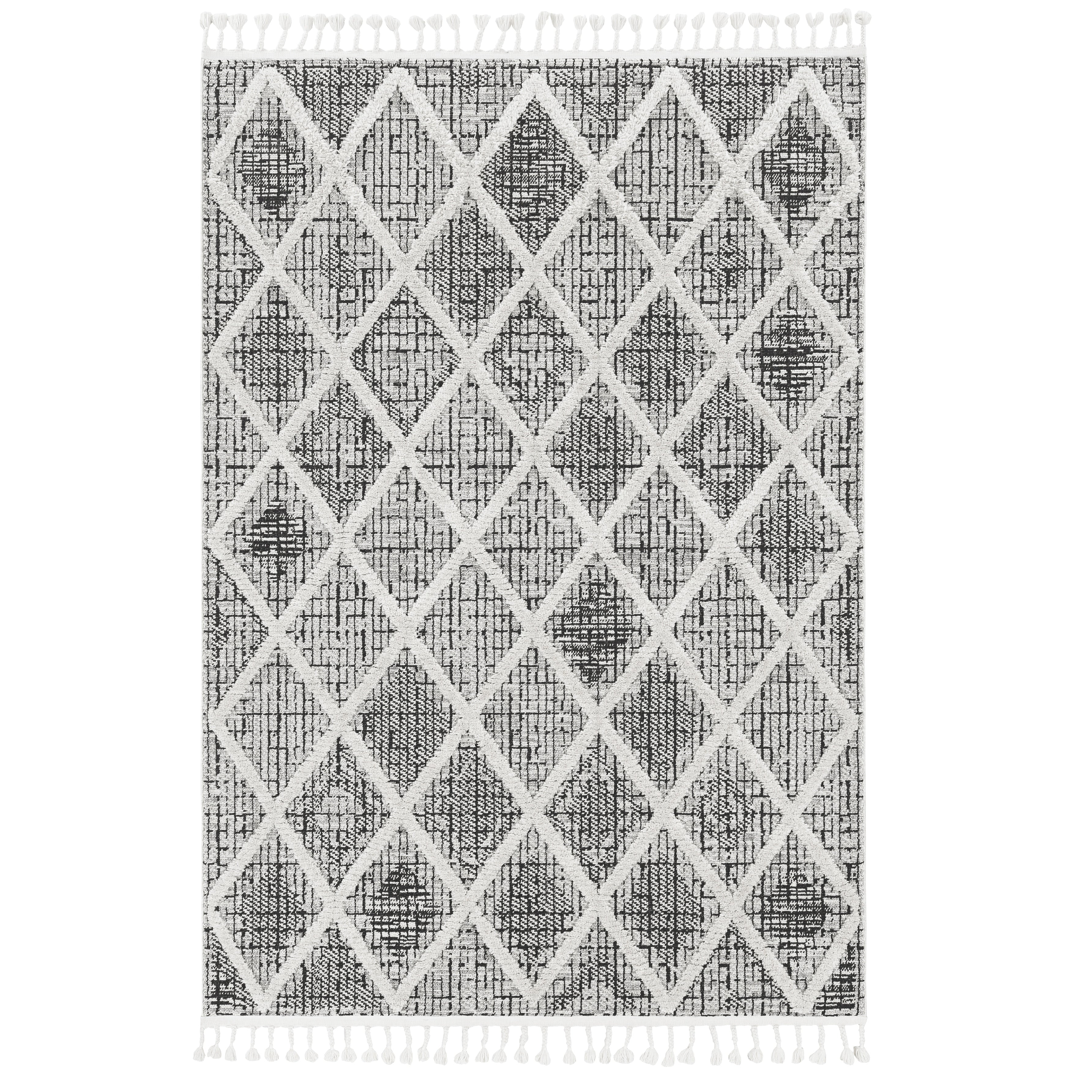 Carbon Loft Kanani Textured Distressed Morrocan Boho Rug With Fringe