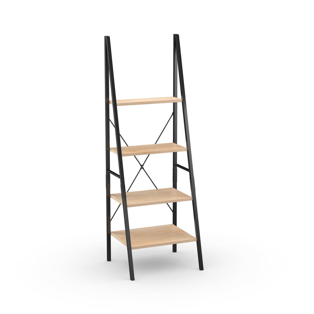Carbon Loft Morse Industrial Ladder Bookshelf