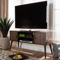 Carson Carrington Batnaset Mid Century Modern 2 Door Tv Stand