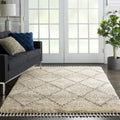 Carson Carrington Hjaltaryd Scandinavian Diamond Trellis Shag Rug