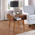 Carson Carrington Steinkjer End Table