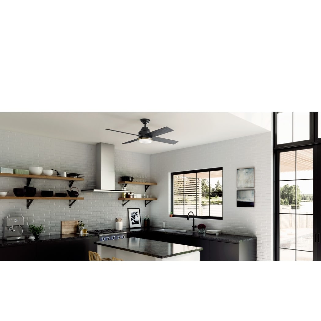 Casablanca Fan 54 Daphne Matte Black W 4 Black Walnut Rev Blades