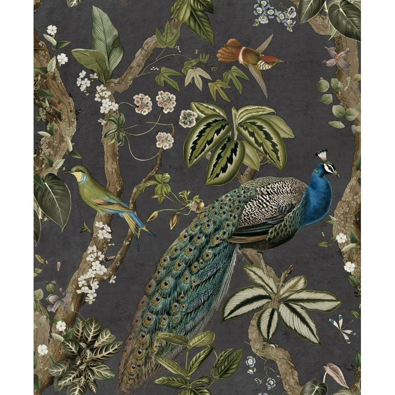 Cassia Peacock Non Pasted Wallpaper Covers 56 Square Feet