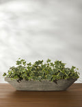 Cast Stone Tabletop Planters by Campania International