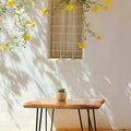 Cedar Roots Coffee Table Small Size 21 In Height With 3 Hairpin Legs