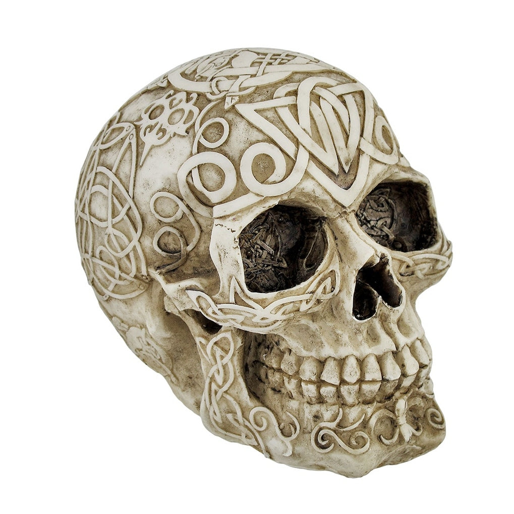 Celtic Owl Knotwork Human Skull Statue Pagan 5.75 X 5 X 7 Inches