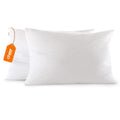 Cheer Collection Set Of 2 Decorative Accent Throw Pillows And Insert For Couch Sofa Bed