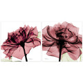 Chianti Rose I Ii Glass Panel Graphic Wall Art Pink White