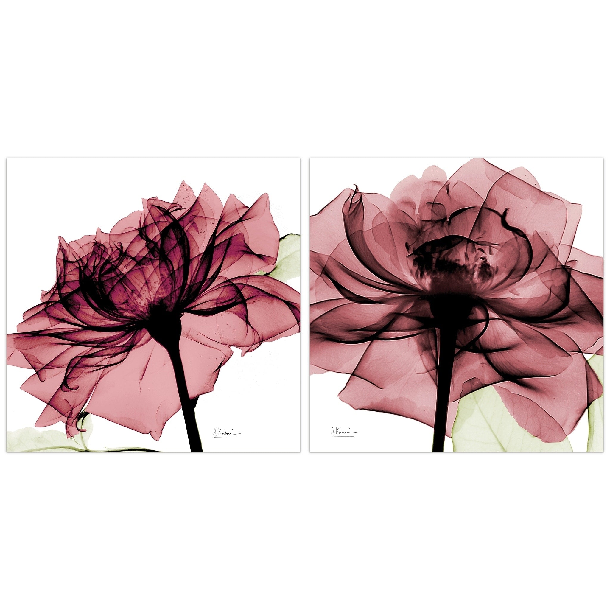 Chianti Rose I Ii Glass Panel Graphic Wall Art Pink White