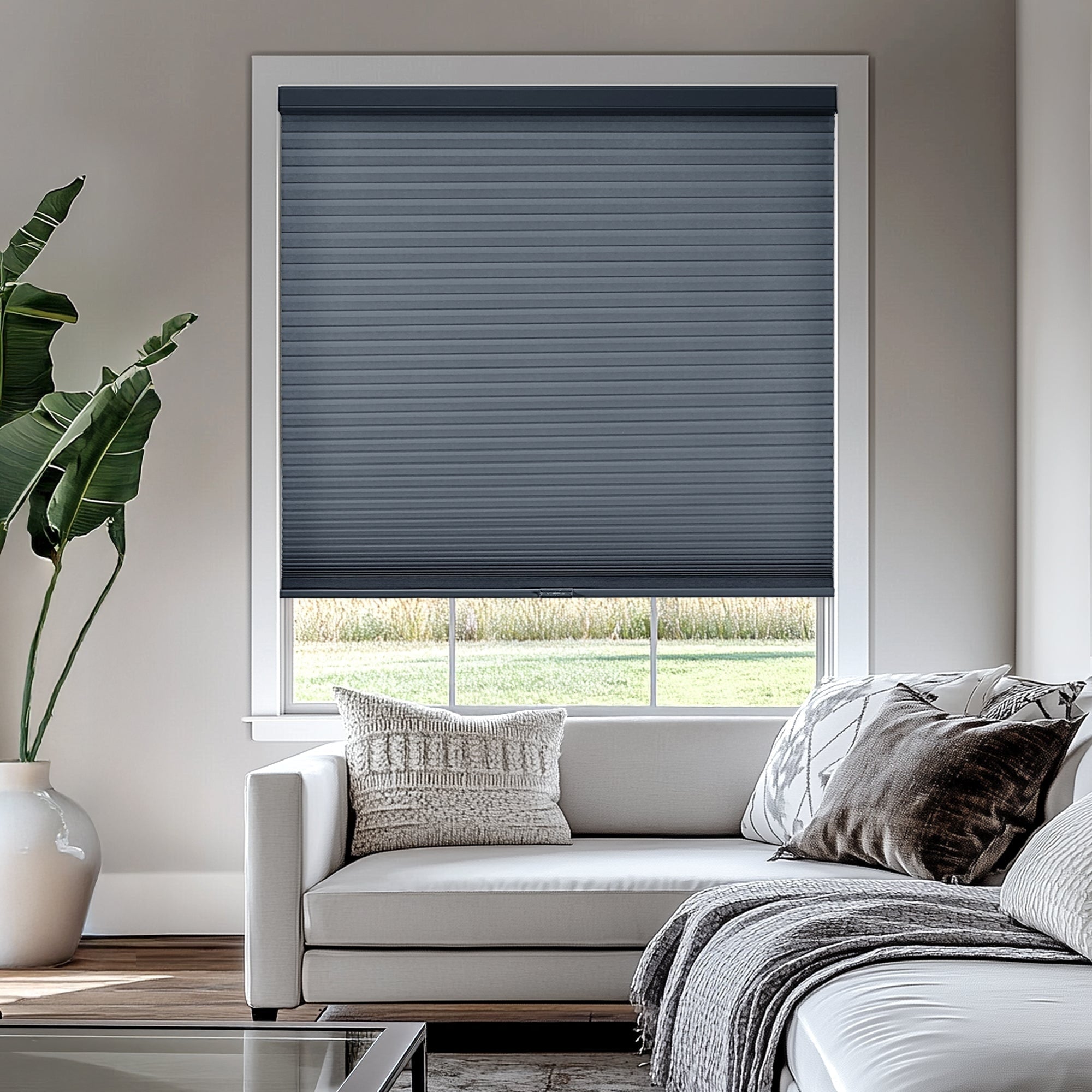 Chicology Cordless Cellular Shades Privacy Single Cell Window Blind