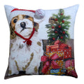 Chicos Home 20 X 20 Christmas Throw Pillow For Couch