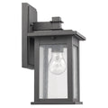 Chloe Transitional 1 Light Black Outdoor Wall Lantern