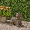 Christopher Knight Home Josie Brown Stone Outdoor Cocker Spaniel Dog Garden Statue