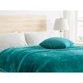 Clara Clark Ultra Plush Thick Mink Blanket