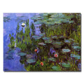Claude Monet Sea Roses Canvas Art Multi