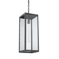Clear Glass Outdoor Hanging Black Light