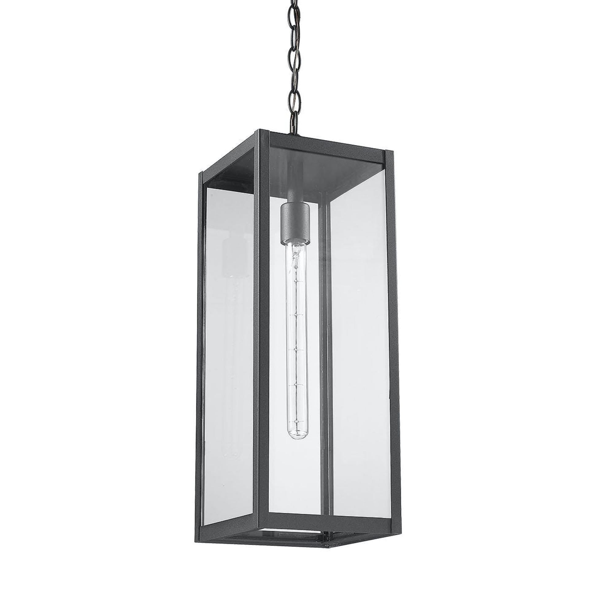 Clear Glass Outdoor Hanging Black Light