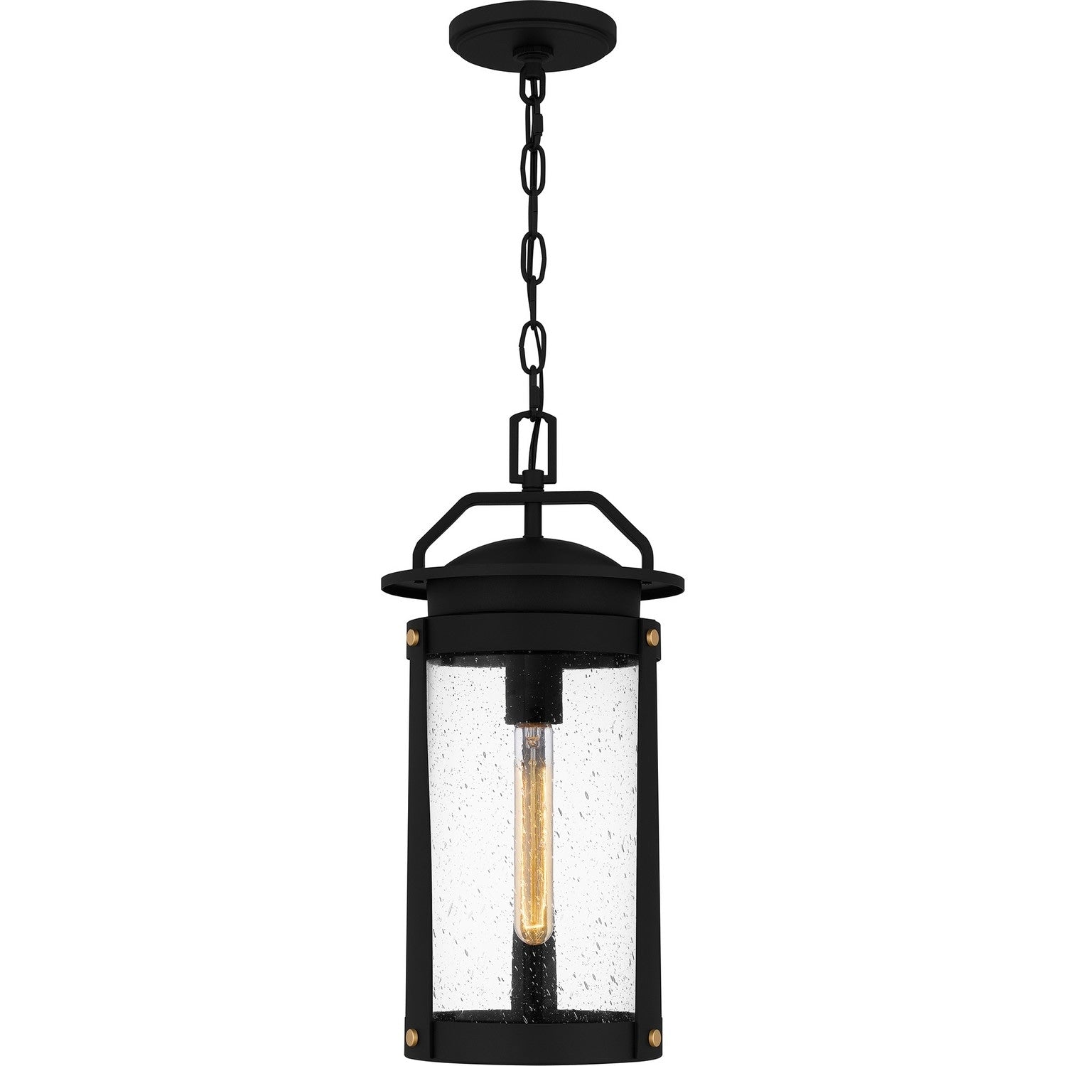 Clifton 1 Light Outdoor Hanging Lantern In Earth Black