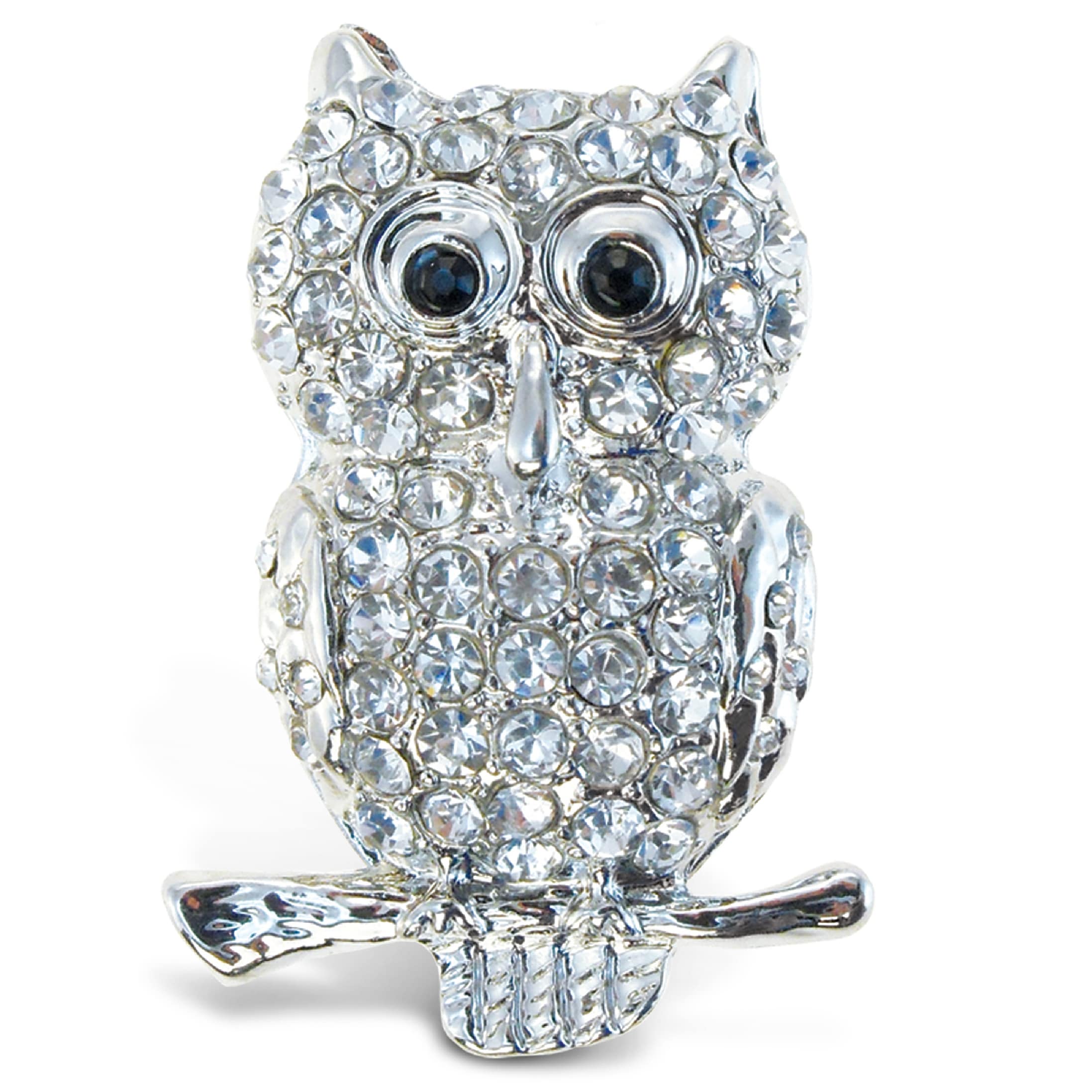 Puzzled Metal Owl Sparkling Refrigerator Magnet