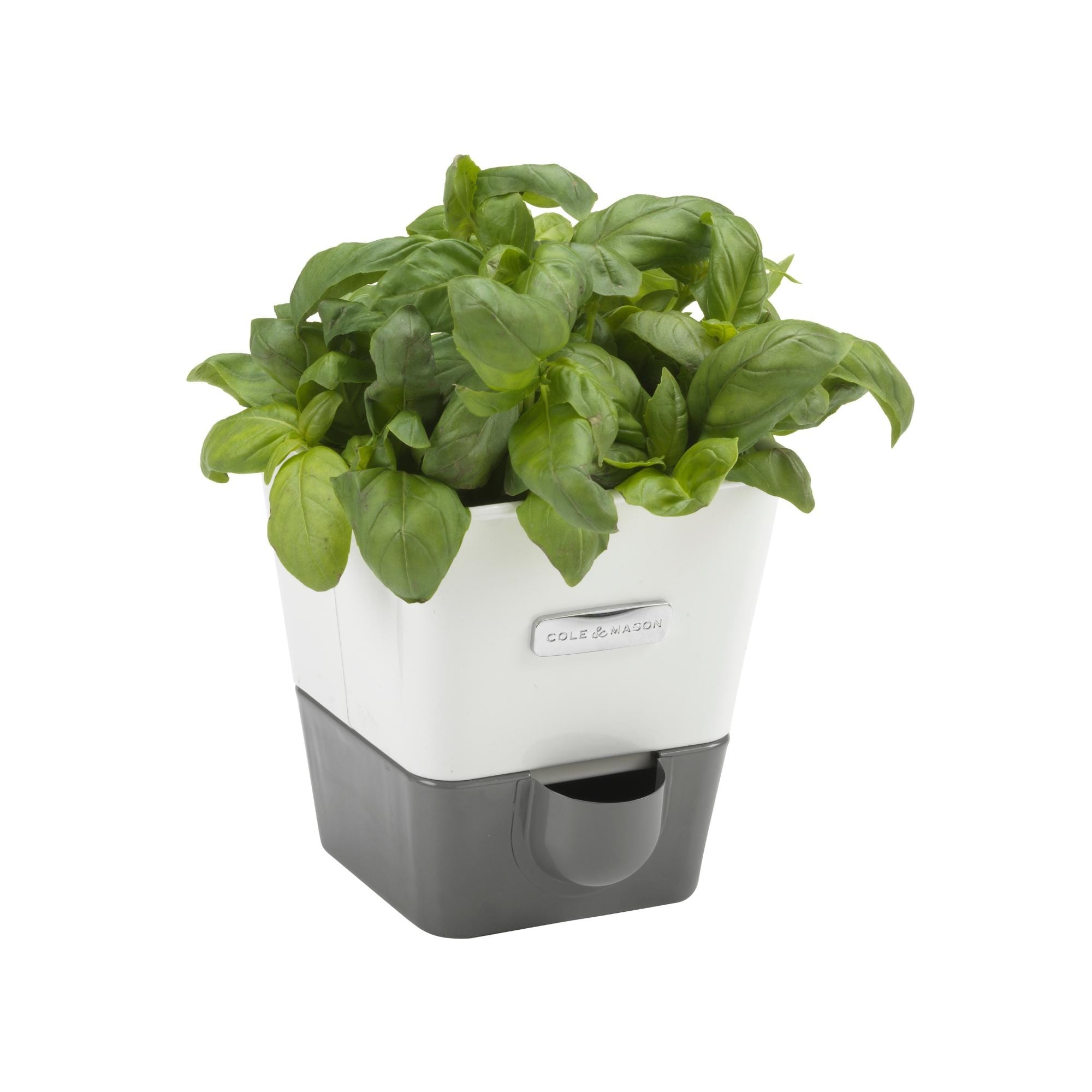 Cole Mason Burwell Self Watering Potted Herb Keeper.