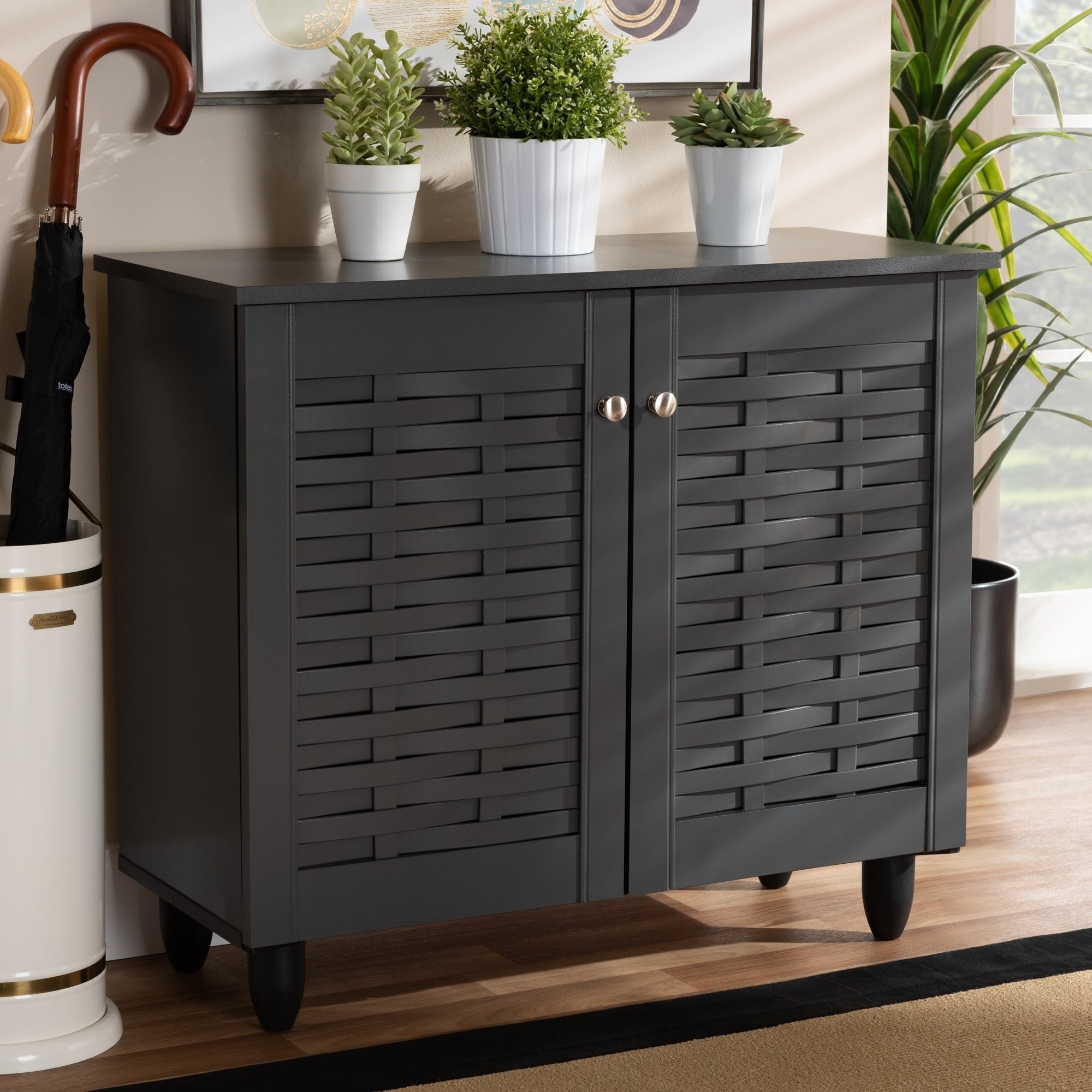 Contemporary Shoe Storage Cabinet