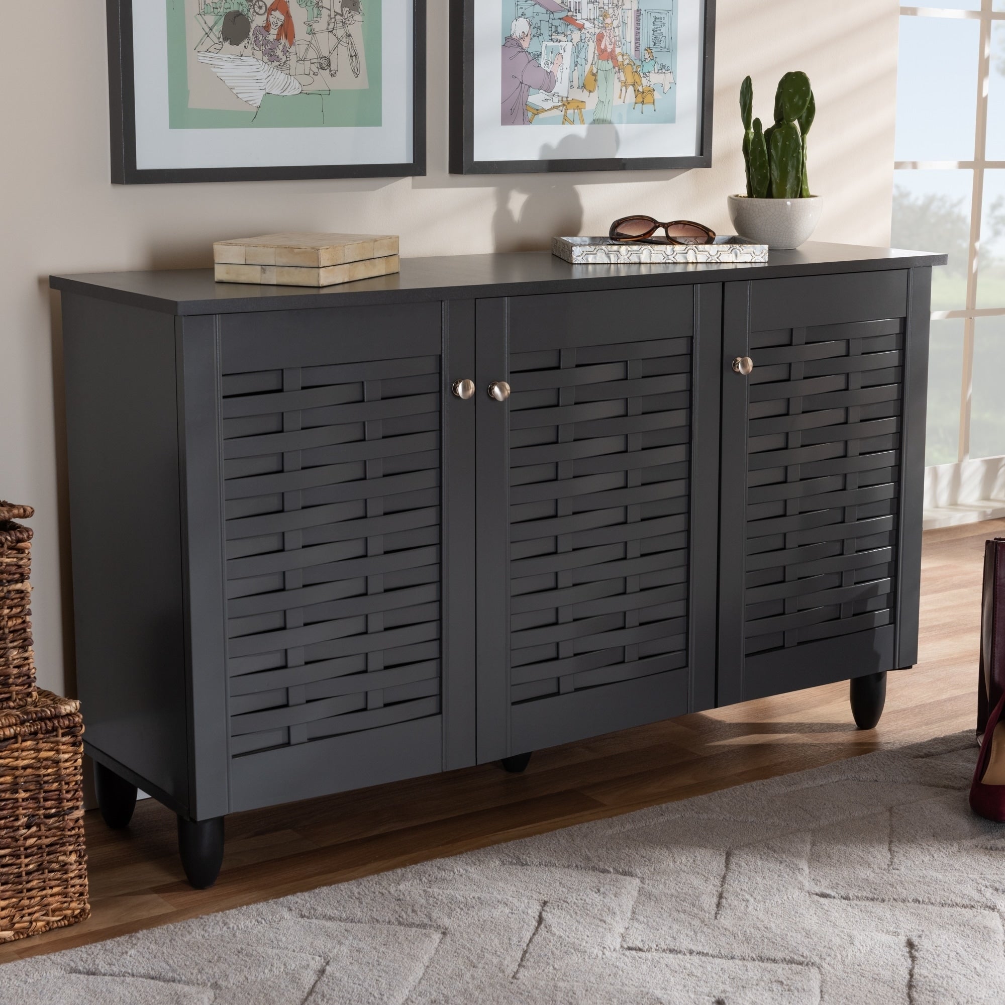 Contemporary Shoe Storage Cabinet