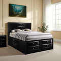 Contemporary Style Queen Size Wooden Storage Bed With Eight Spacious Drawers Black