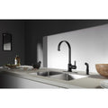 Continental 1 Handle Kitchen Faucet With Side Sprayer