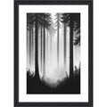Contrast Trees No. 2 By Tradelink Inhouse Artist Wood Framed Wall Art Print Bethany Black