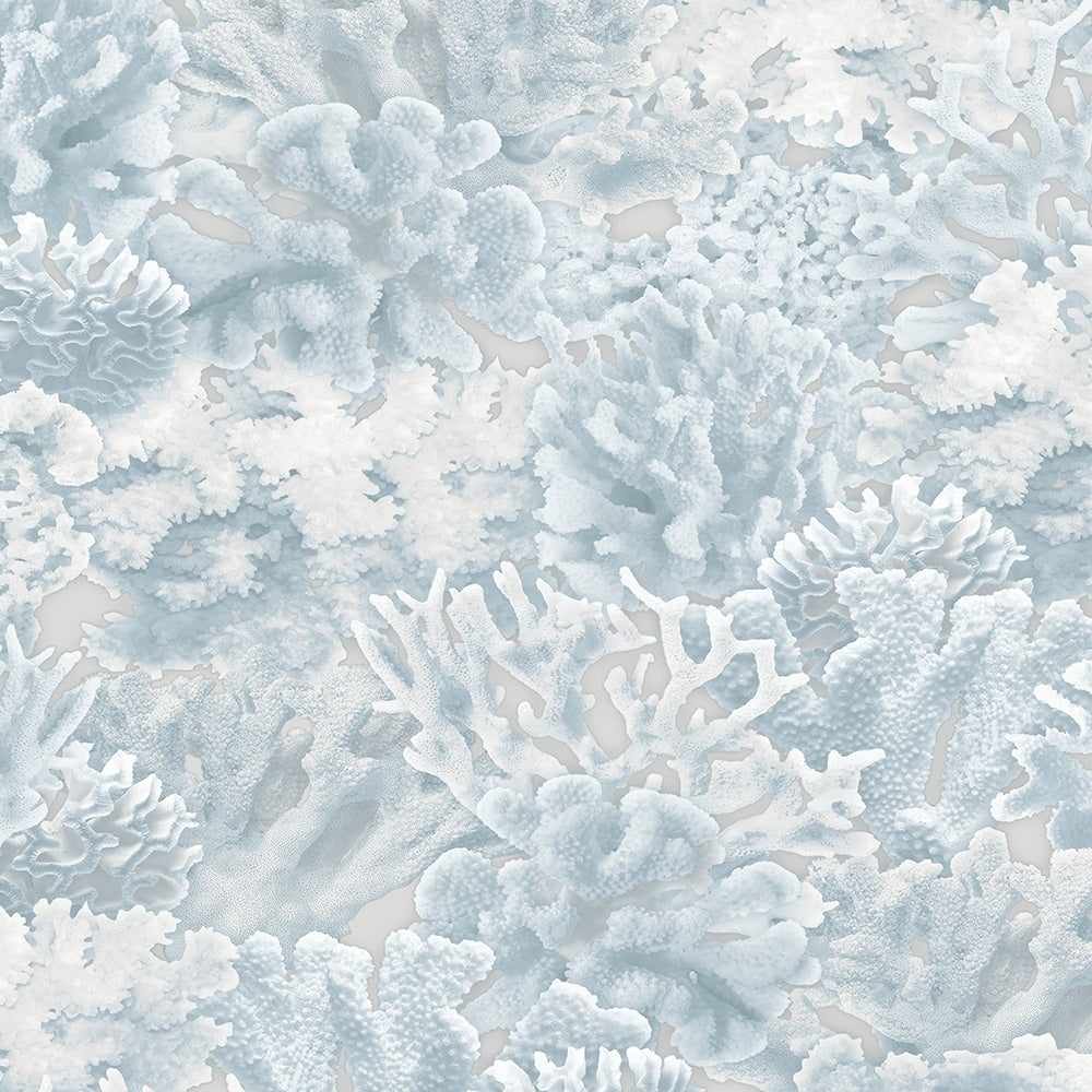 Coral Wallpaper Novelty In Light Blue Blue