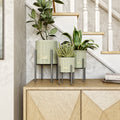 Cosima Table Top Planters Set Of 3
