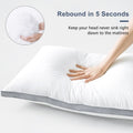 Cotton Gusseted Pillows Set Of 2