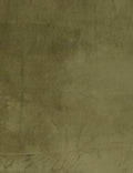 Cotton Velvet Fabric Swatch, Olive by Kufri