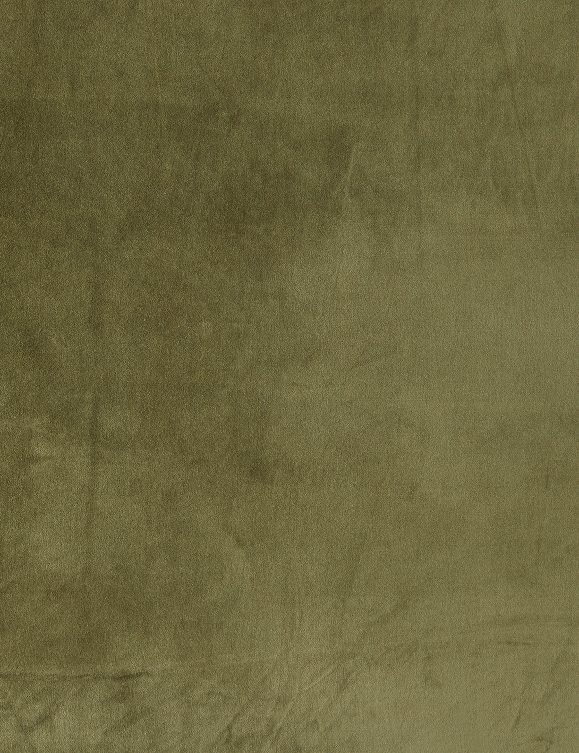 Cotton Velvet Fabric Swatch, Olive by Kufri