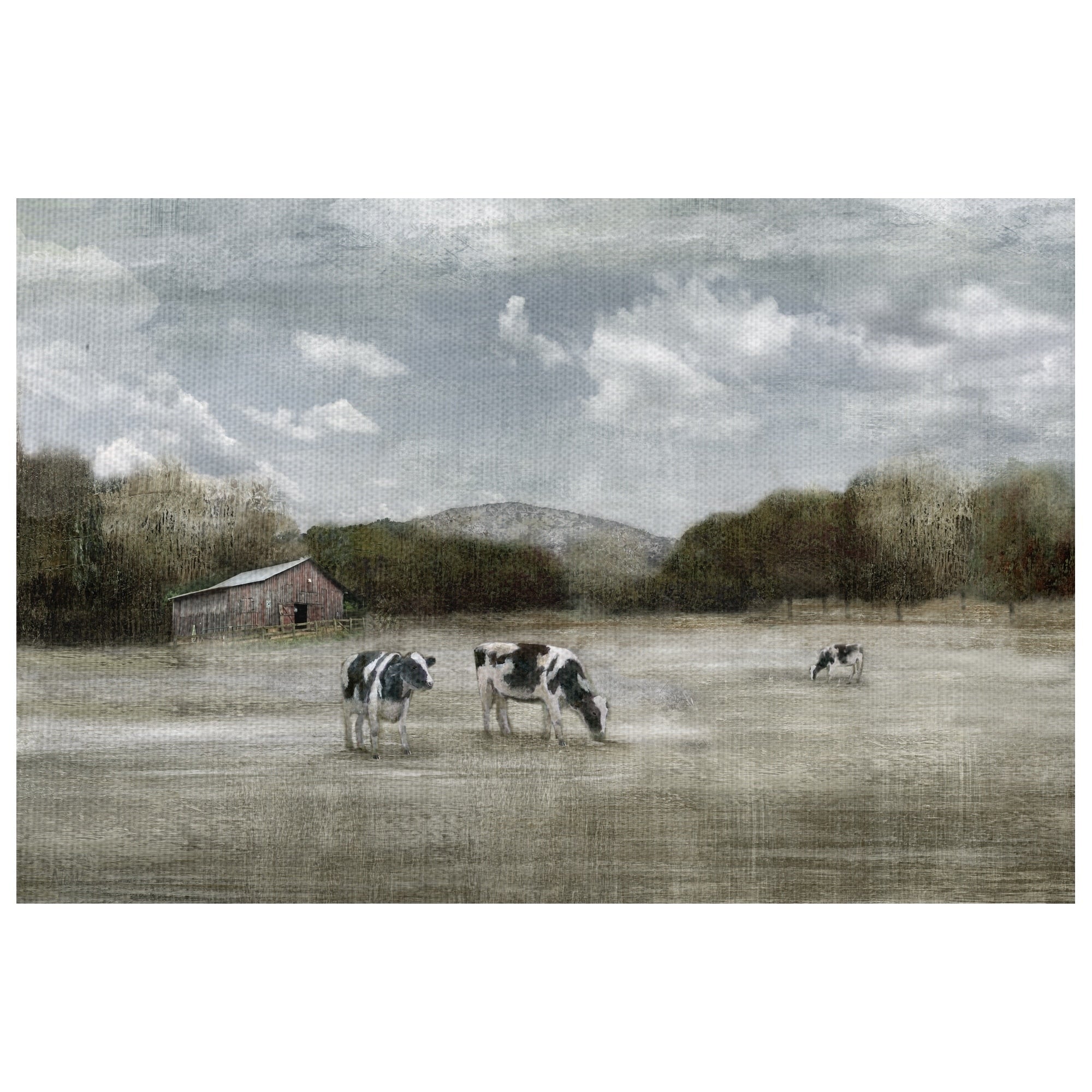 Country Satisfaction Grazing Cattle By Nan Wrapped Canvas Painting Art Print